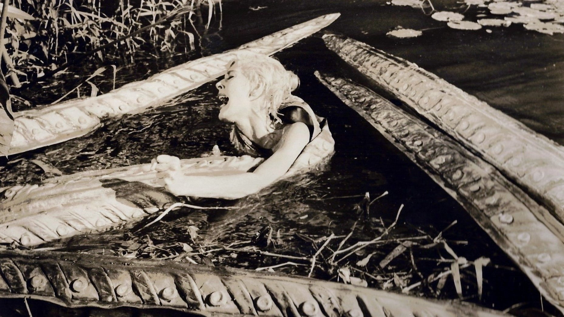 Voodoo Island Background