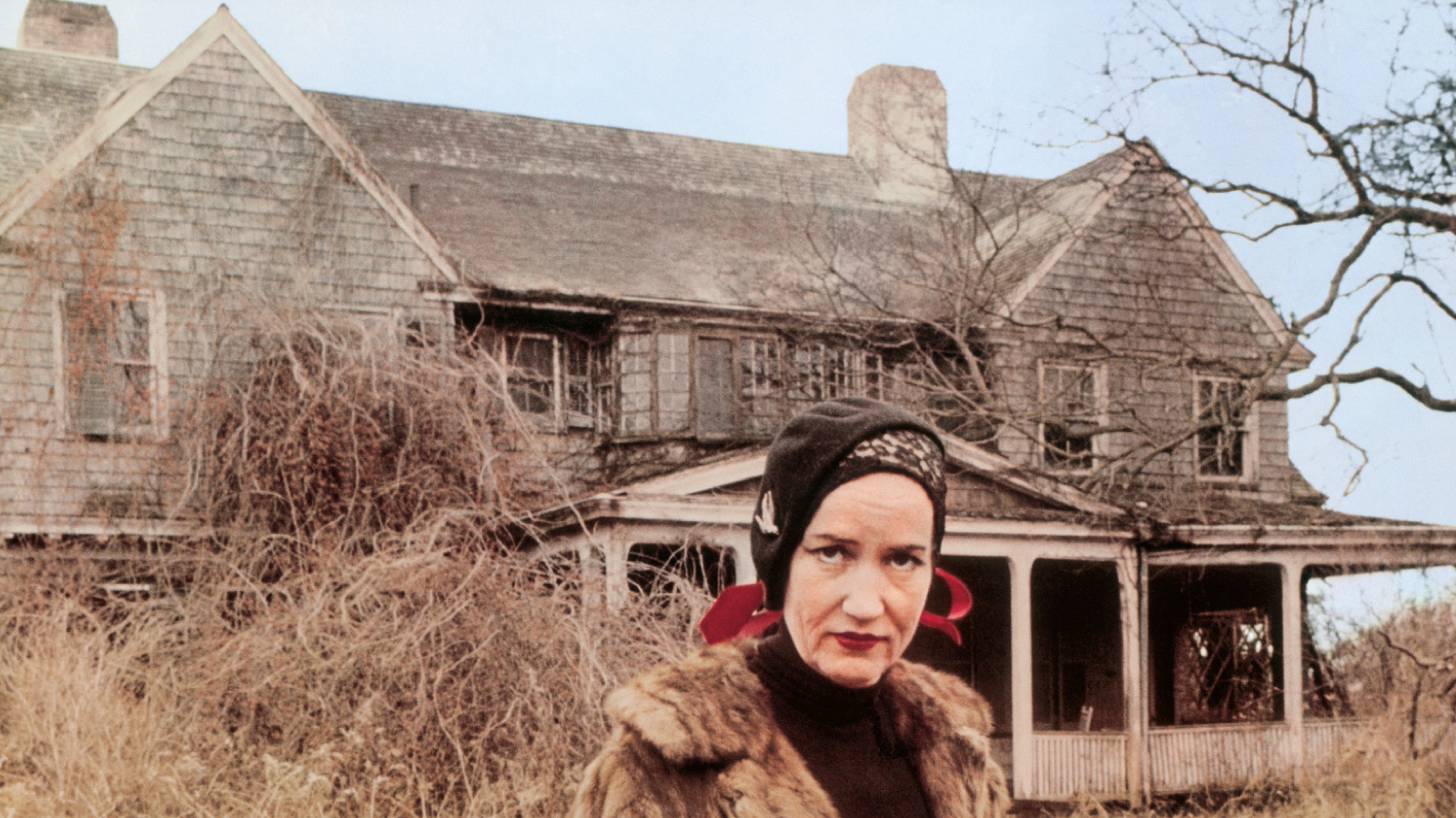 Grey Gardens Background