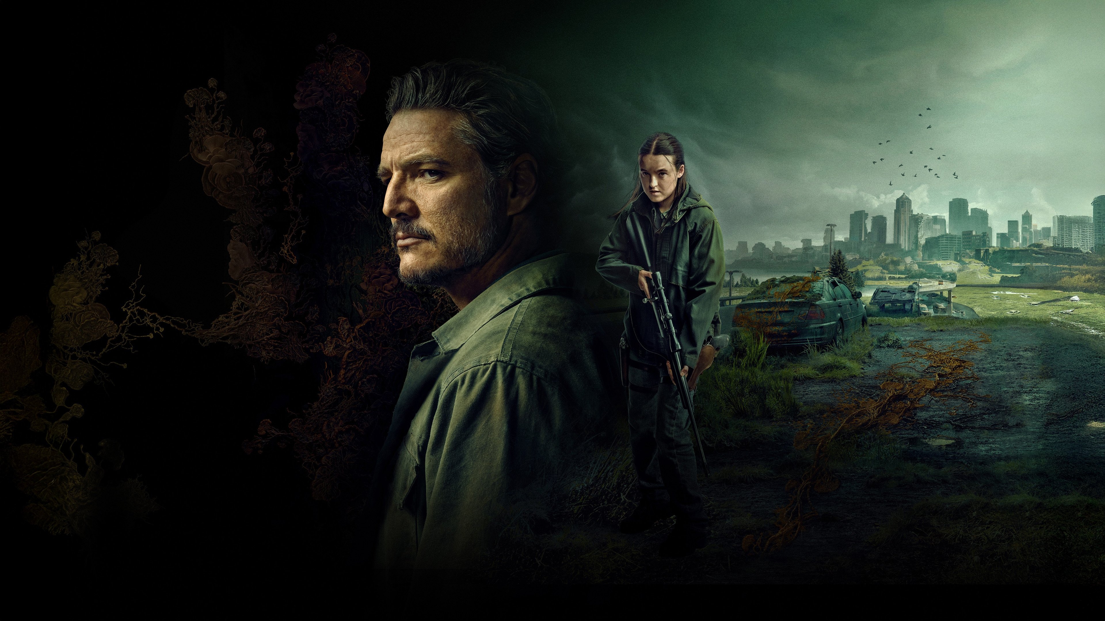 The Last of Us Background