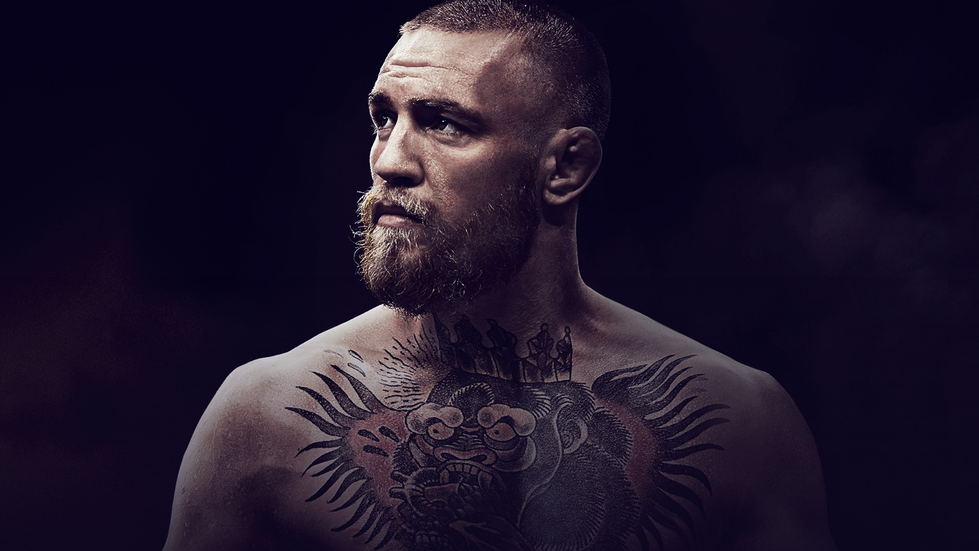 Conor McGregor: Notorious Background