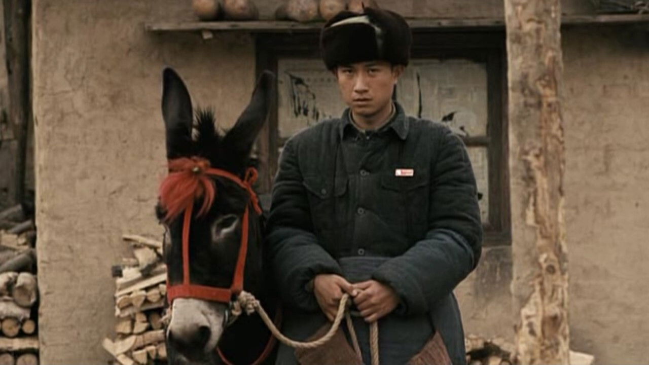 A Tale of Two Donkeys Background