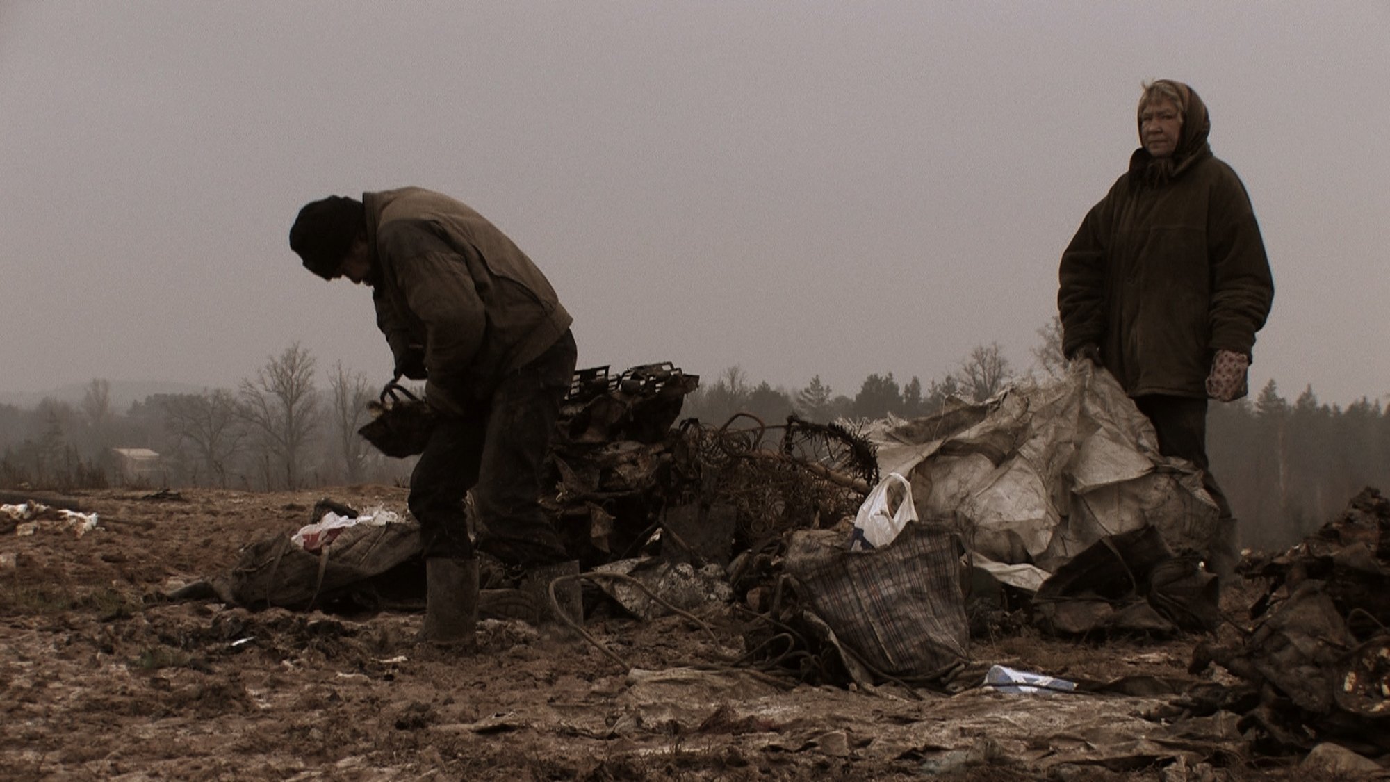 The Field of Magic Background