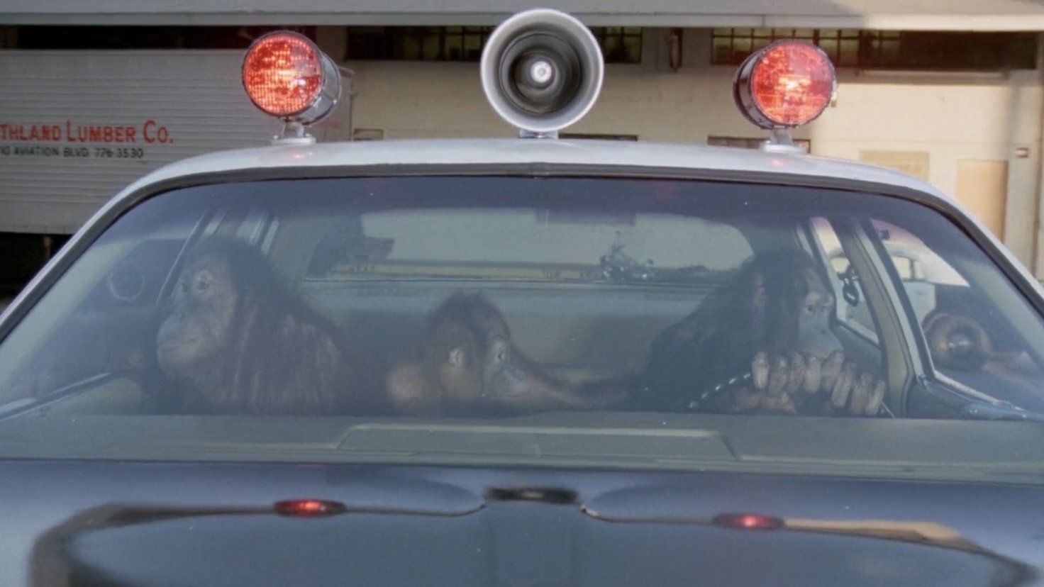 Going Ape! Background