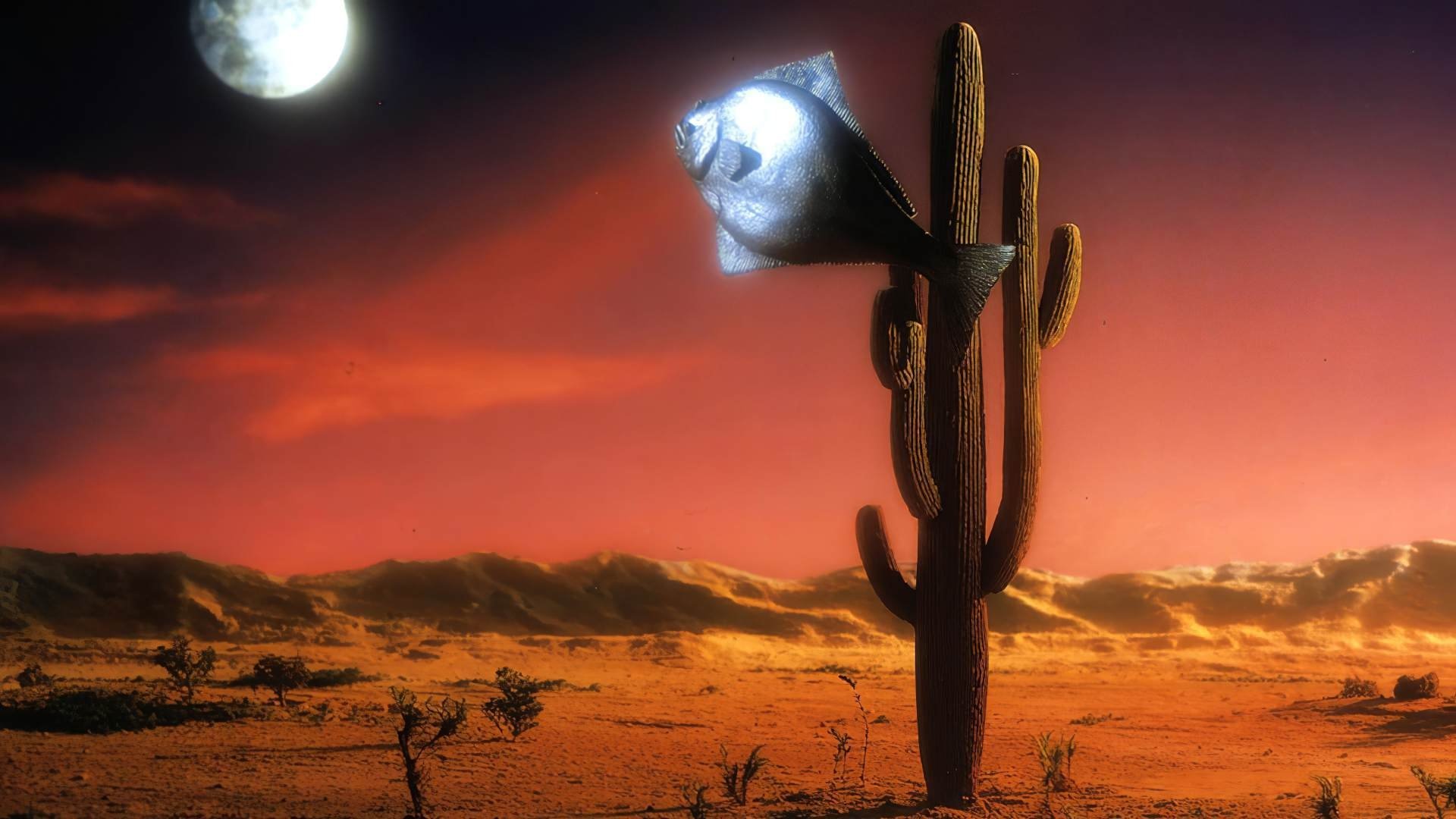 Arizona Dream Background