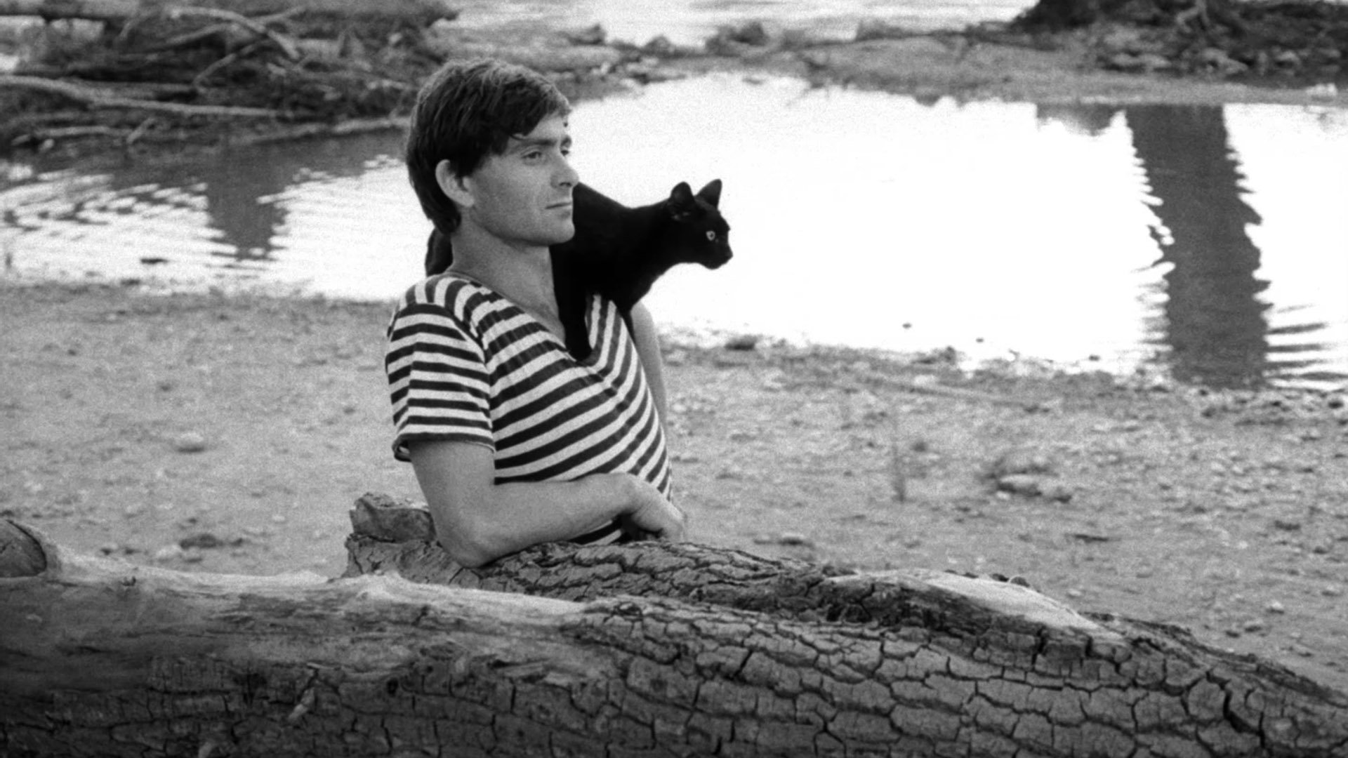 Miraculous Virgin Background