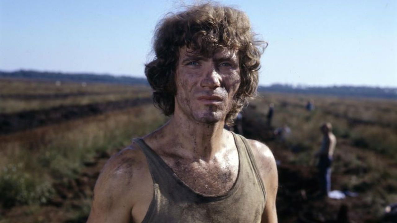 The Brutalization of Franz Blum Background