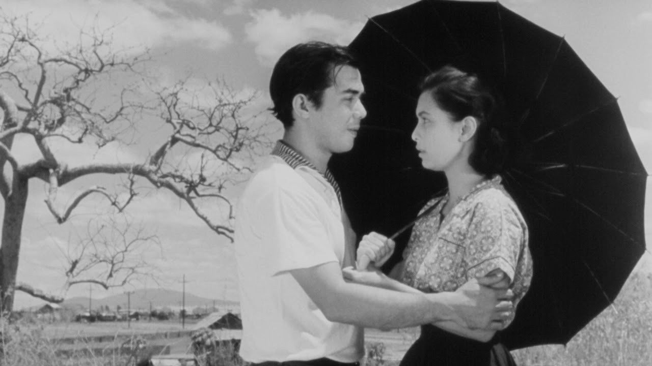 Malvarosa Background