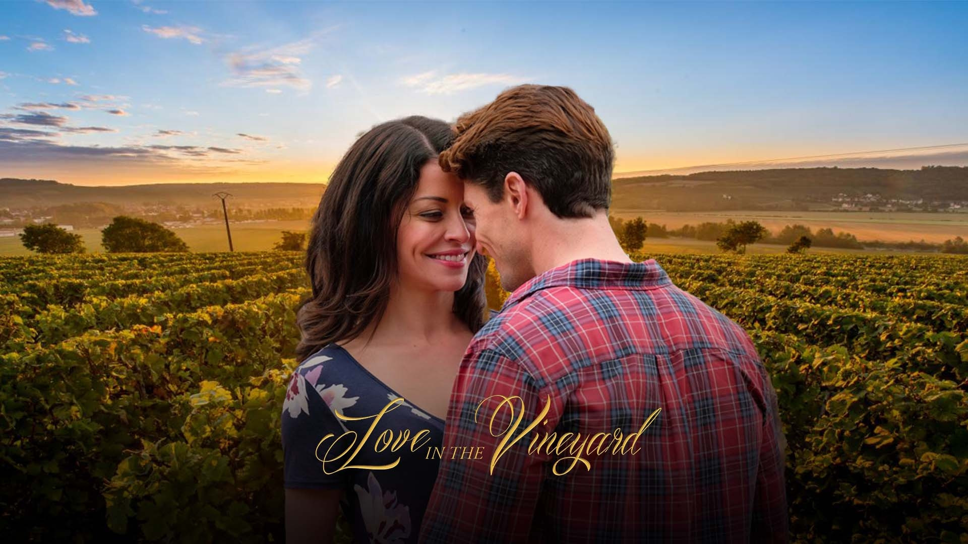 Love in the Vineyard Background